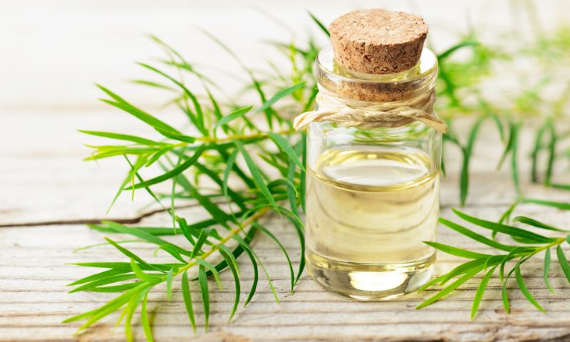 Làm gì khi trẻ bị ngã sưng môi? làm gì khi trẻ bi ngã sưng môi