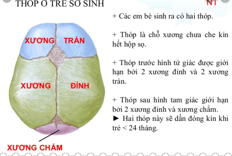 Có nên che thóp trẻ sơ sinh Có nên che thóp trẻ sơ sinh, tìm hiểu về thóp trẻ sơ sinh
